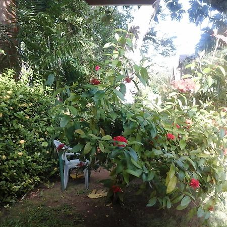Firefly Beach Cottages Negril Esterno foto