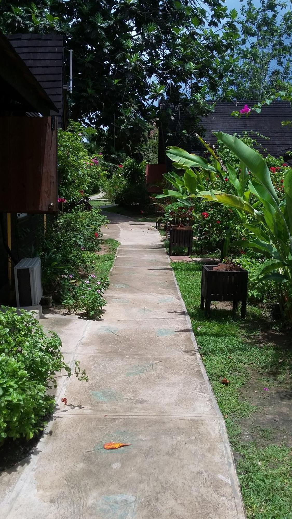 Firefly Beach Cottages Negril Esterno foto