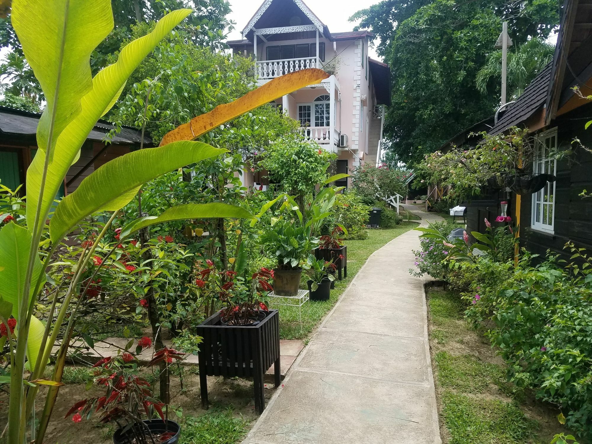 Firefly Beach Cottages Negril Esterno foto